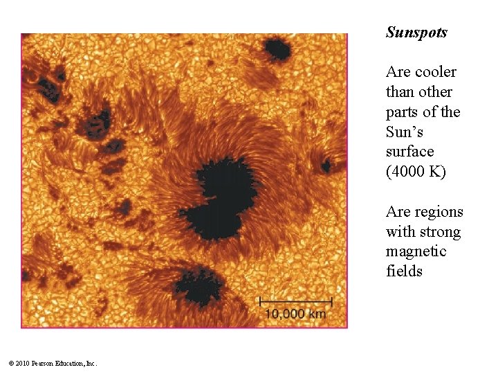 Sunspots Are cooler than other parts of the Sun’s surface (4000 K) Are regions