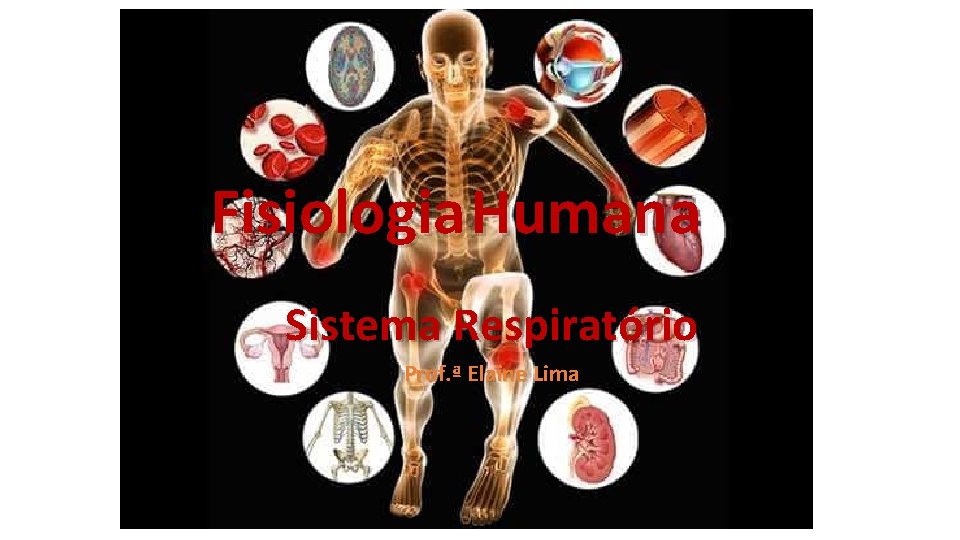 Fisiologia Humana Sistema Respiratório Prof. ª Elaine Lima 