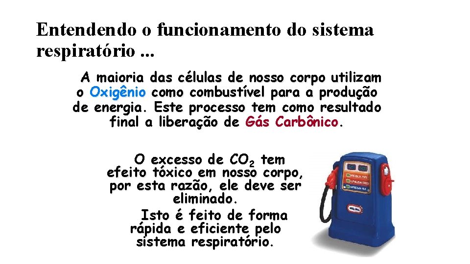 Entendendo o funcionamento do sistema respiratório. . . A maioria das células de nosso