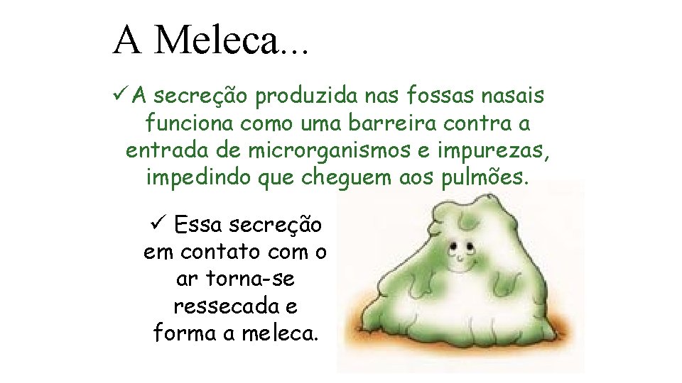 A Meleca. . . ü A secreção produzida nas fossas nasais funciona como uma