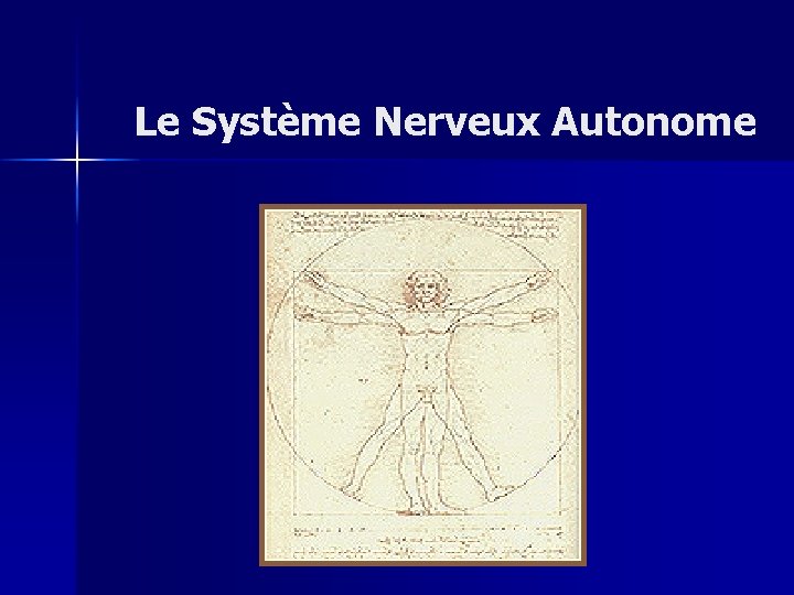 Le Système Nerveux Autonome 