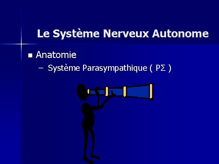 Le Système Nerveux Autonome n Anatomie – Système Parasympathique ( PΣ ) 