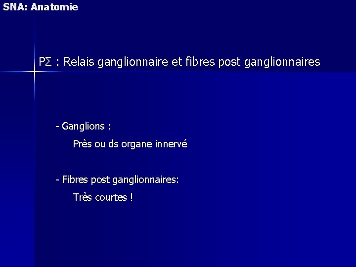 SNA: Anatomie PΣ : Relais ganglionnaire et fibres post ganglionnaires - Ganglions : Près