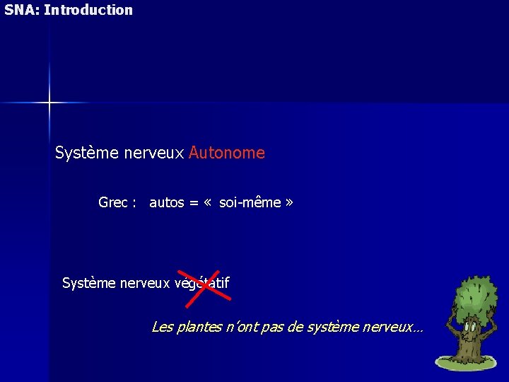 SNA: Introduction Système nerveux Autonome Grec : autos = « soi-même » Système nerveux