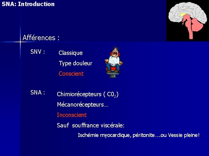 SNA: Introduction Afférences : SNV : Classique Type douleur Conscient SNA : Chimiorécepteurs (