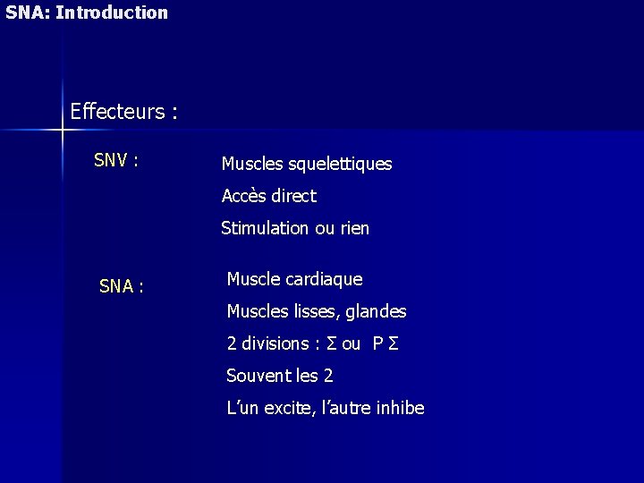 SNA: Introduction Effecteurs : SNV : Muscles squelettiques Accès direct Stimulation ou rien SNA