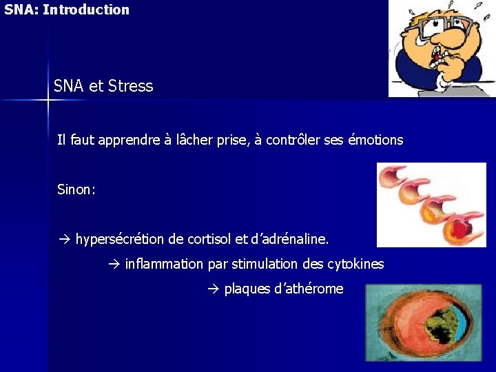 SNA: Introduction SNA et Stress Il faut apprendre à lâcher prise, à contrôler ses