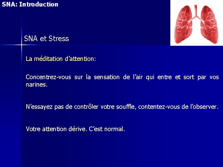 SNA: Introduction SNA et Stress La méditation d’attention: Concentrez-vous sur la sensation de l’air