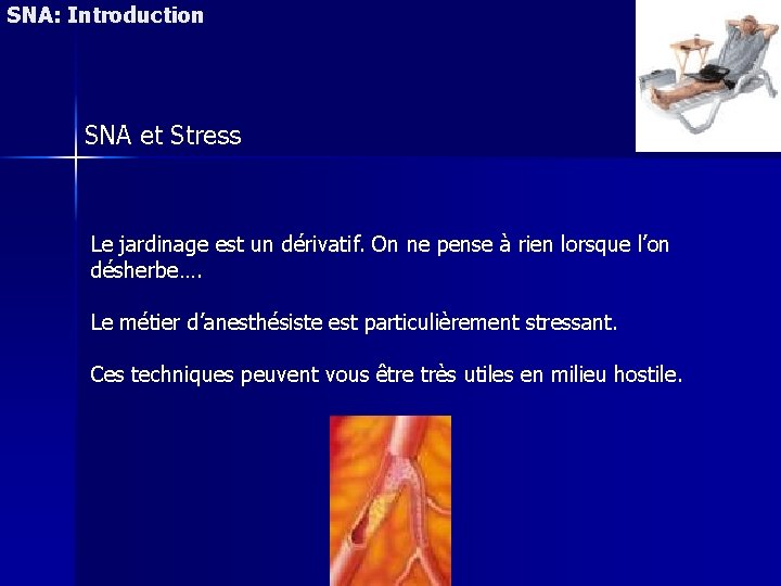 SNA: Introduction SNA et Stress Le jardinage est un dérivatif. On ne pense à