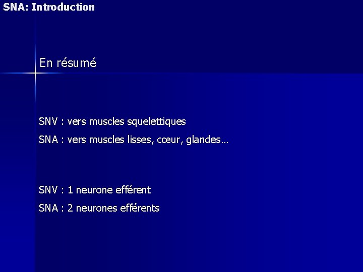 SNA: Introduction En résumé SNV : vers muscles squelettiques SNA : vers muscles lisses,