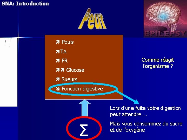 SNA: Introduction Pouls TA FR Glucose Comme réagit l’organisme ? Sueurs Fonction digestive Lors