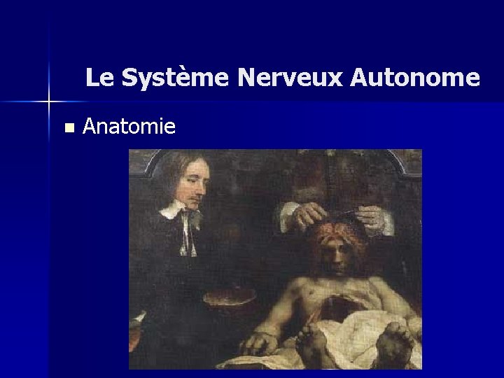 Le Système Nerveux Autonome n Anatomie 