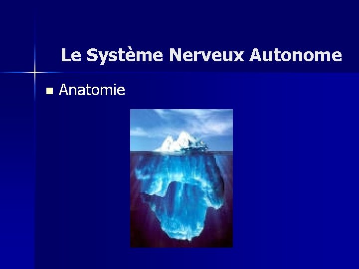 Le Système Nerveux Autonome n Anatomie 