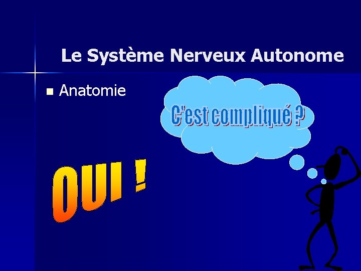 Le Système Nerveux Autonome n Anatomie 