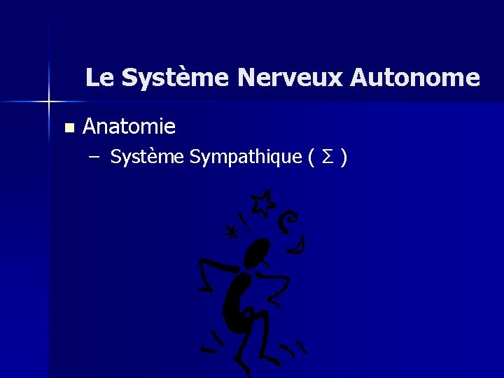 Le Système Nerveux Autonome n Anatomie – Système Sympathique ( Σ ) 