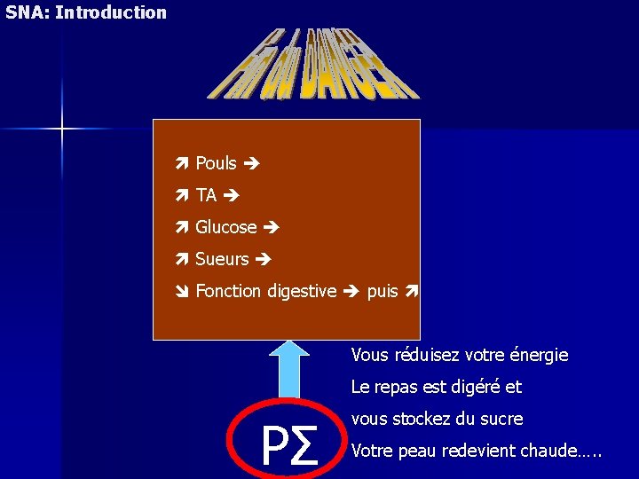 SNA: Introduction Pouls TA Glucose Sueurs Fonction digestive puis Vous réduisez votre énergie Le