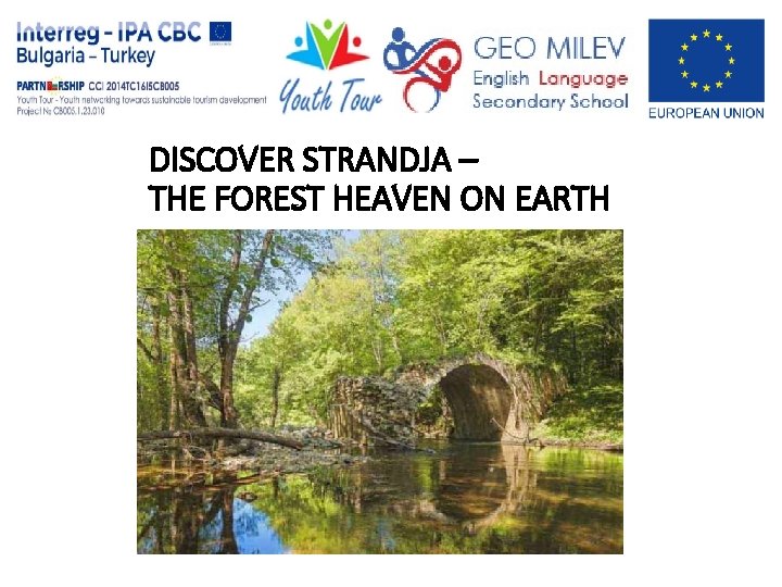 DISCOVER STRANDJA – THE FOREST HEAVEN ON EARTH 