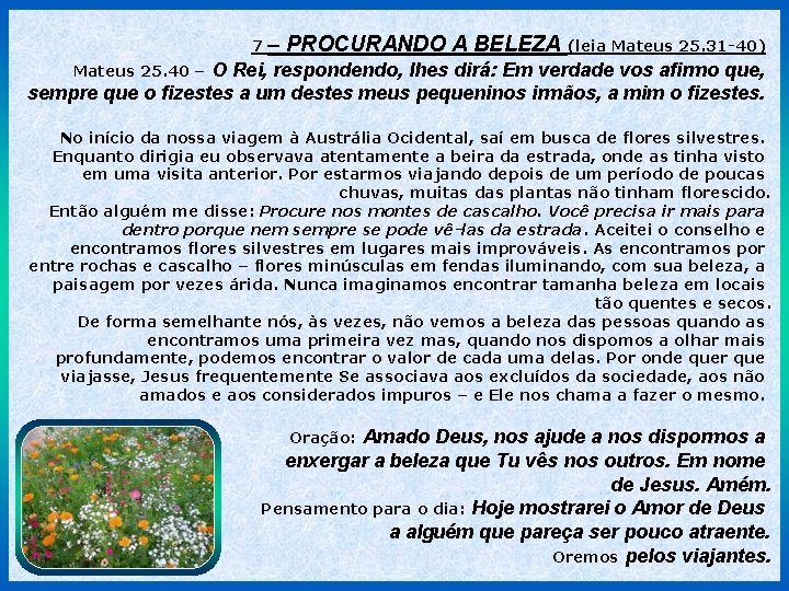 7 – PROCURANDO A BELEZA (leia Mateus 25. 31 -40) O Rei, respondendo, lhes