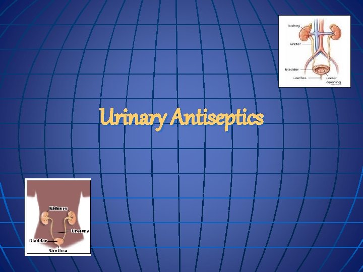 Urinary Antiseptics 