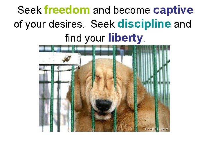 Seek freedom and become captive of your desires. Seek discipline and find your liberty.