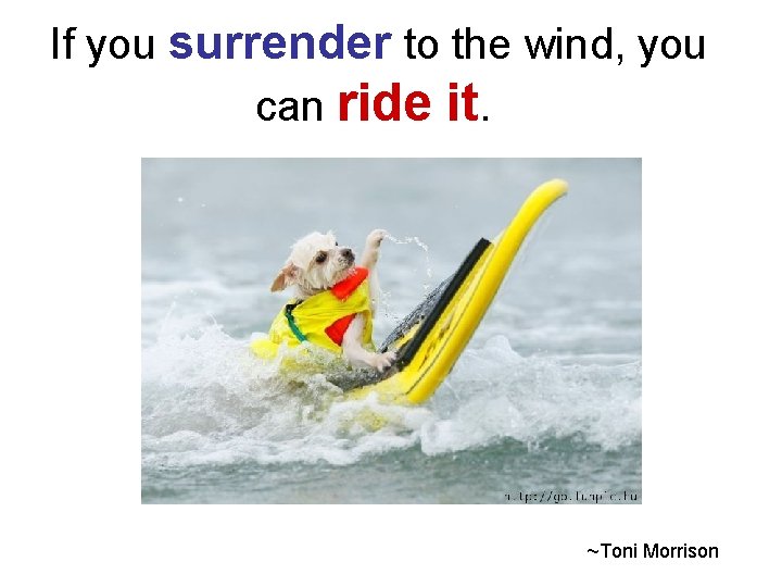 If you surrender to the wind, you can ride it. ~Toni Morrison 