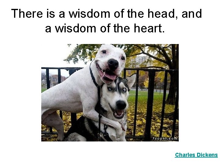 There is a wisdom of the head, and a wisdom of the heart. Charles