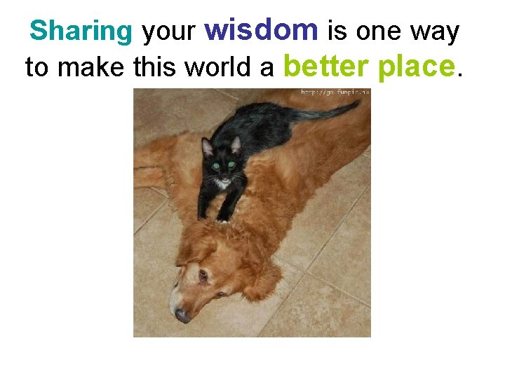 Sharing your wisdom is one way to make this world a better place. 