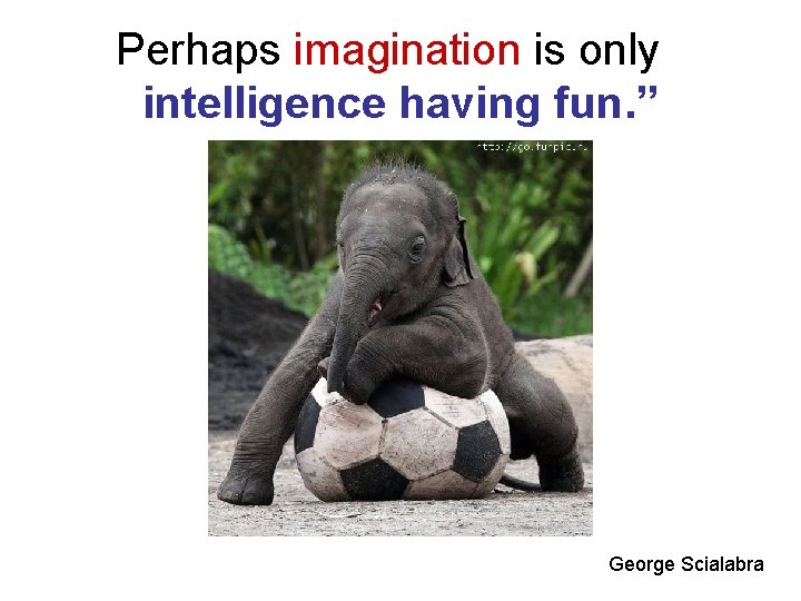 Perhaps imagination is only intelligence having fun. ” George Scialabra 
