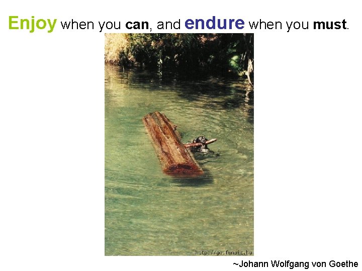 Enjoy when you can, and endure when you must. ~Johann Wolfgang von Goethe 