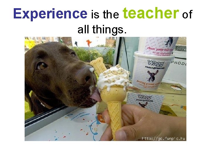 Experience is the teacher of all things. 