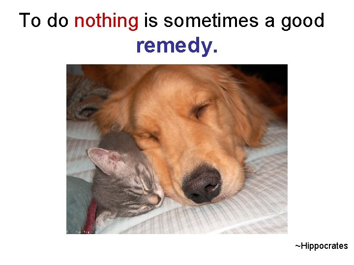 To do nothing is sometimes a good remedy. ~Hippocrates 