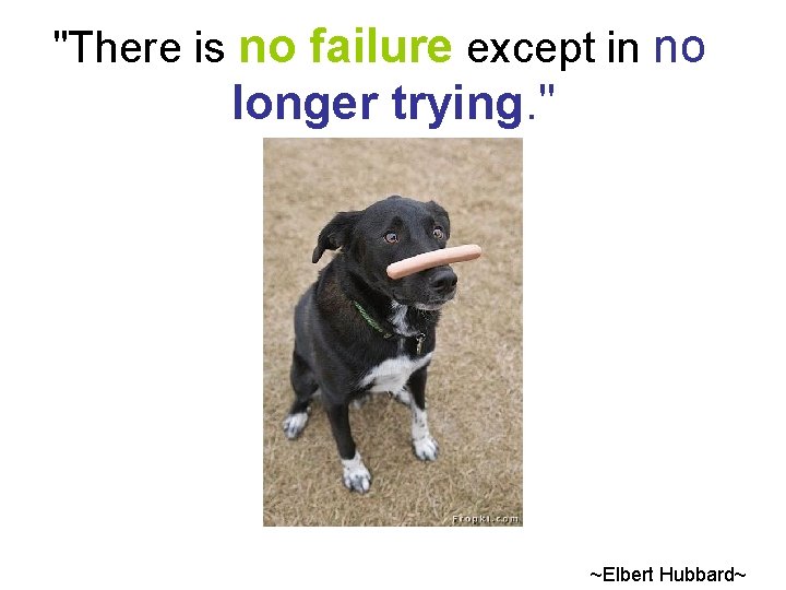 "There is no failure except in no longer trying. " ~Elbert Hubbard~ 