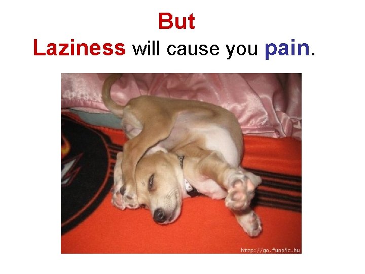 But Laziness will cause you pain. 