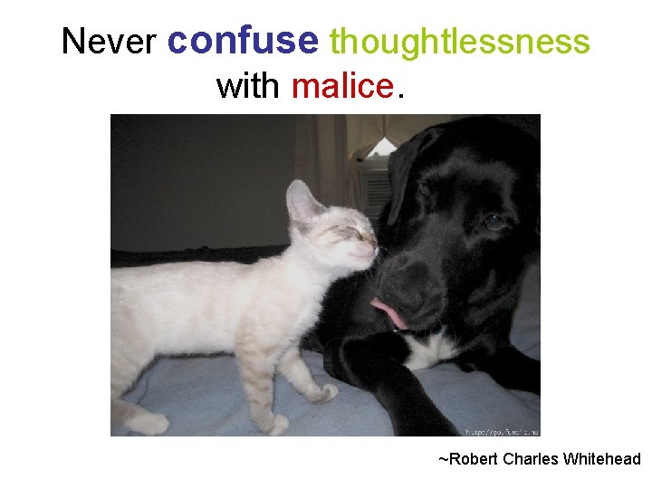 Never confuse thoughtlessness with malice. ~Robert Charles Whitehead 