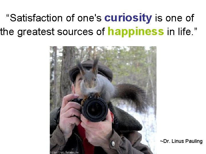 “Satisfaction of one's curiosity is one of the greatest sources of happiness in life.