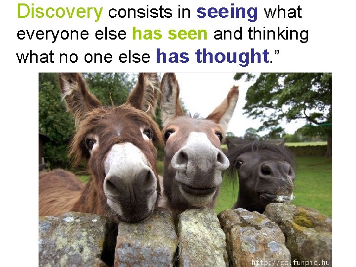 Discovery consists in seeing what everyone else has seen and thinking what no one