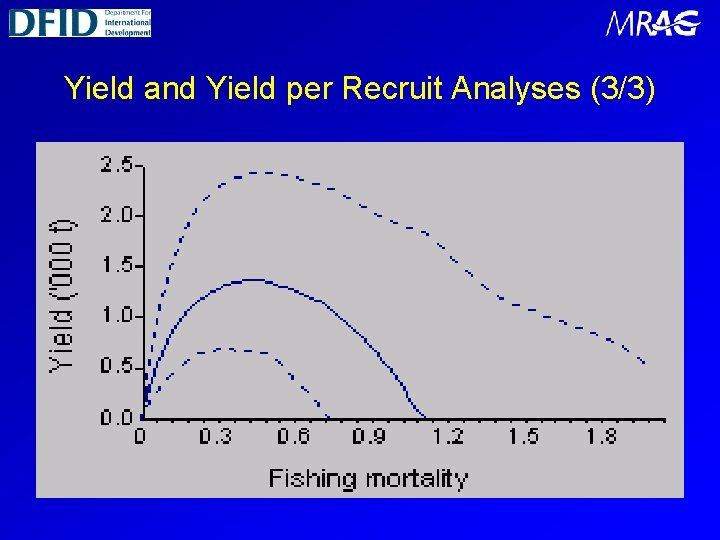 Yield and Yield per Recruit Analyses (3/3) 