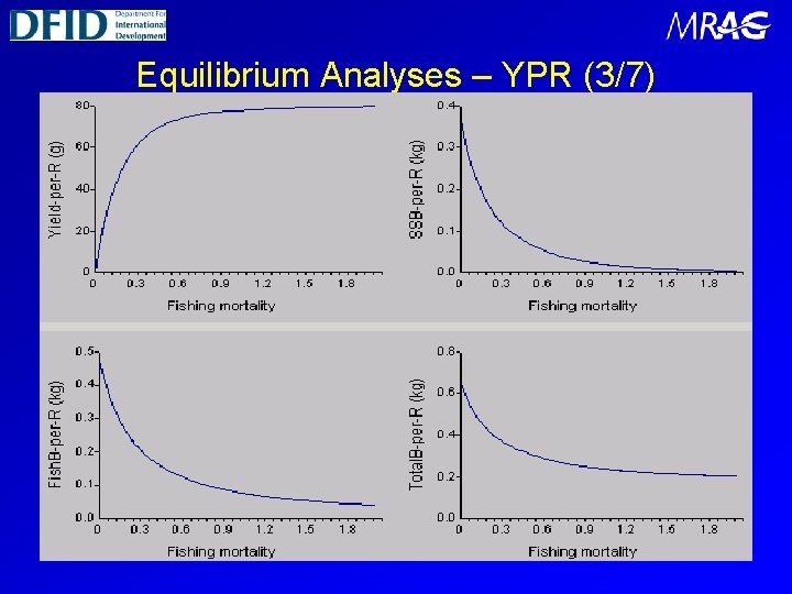 Equilibrium Analyses – YPR (3/7) 