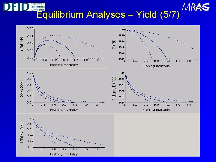 Equilibrium Analyses – Yield (5/7) 