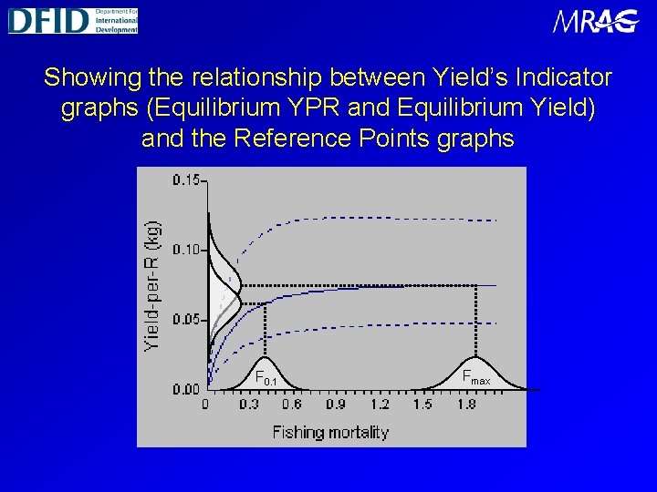 Showing the relationship between Yield’s Indicator graphs (Equilibrium YPR and Equilibrium Yield) and the