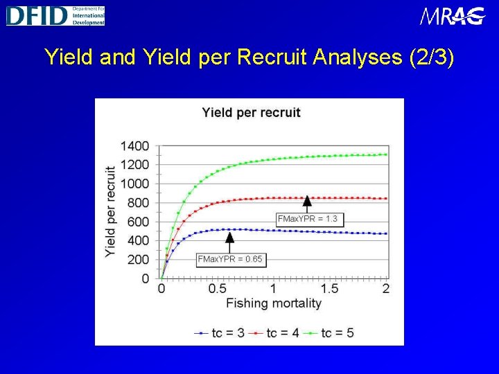 Yield and Yield per Recruit Analyses (2/3) 