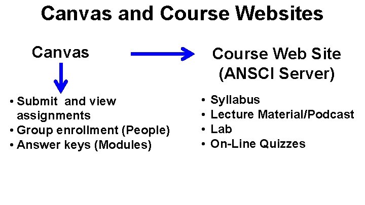 Canvas and Course Websites Canvas • Submit and view assignments • Group enrollment (People)