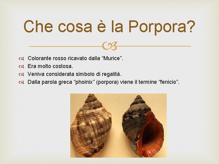 Che cosa è la Porpora? Colorante rosso ricavato dalla “Murice”. Era molto costosa. Veniva