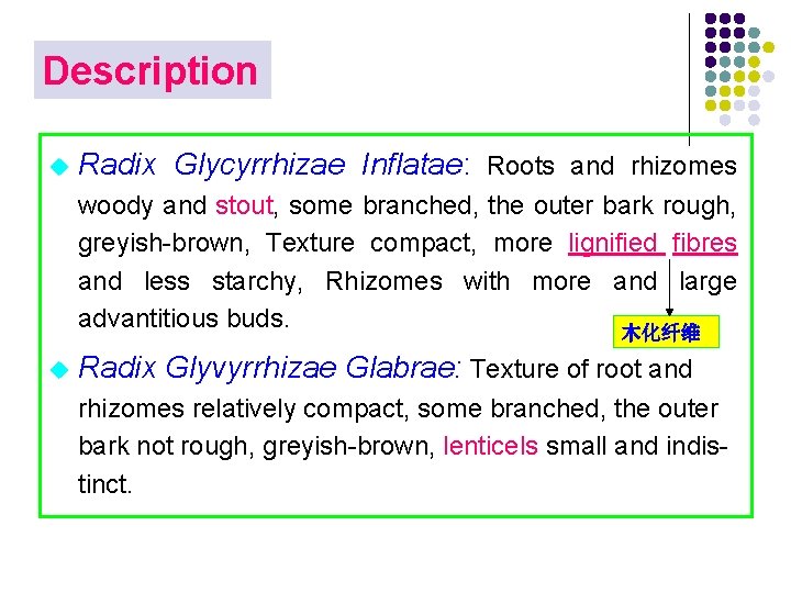 Description u Radix Glycyrrhizae Inflatae: Roots and rhizomes woody and stout, some branched, the