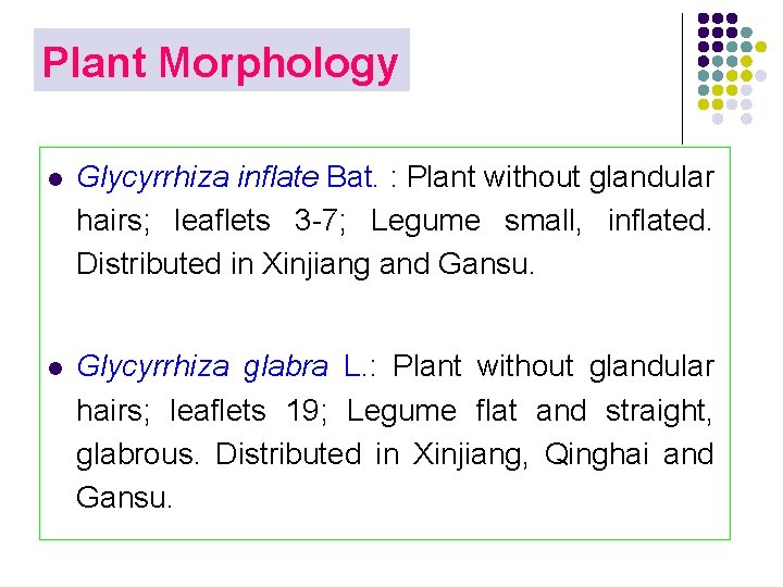 Plant Morphology l Glycyrrhiza inflate Bat. : Plant without glandular hairs; leaflets 3 -7;