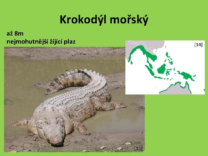 Krokodýl mořský až 8 m nejmohutnější žijící plaz [14] [13] 