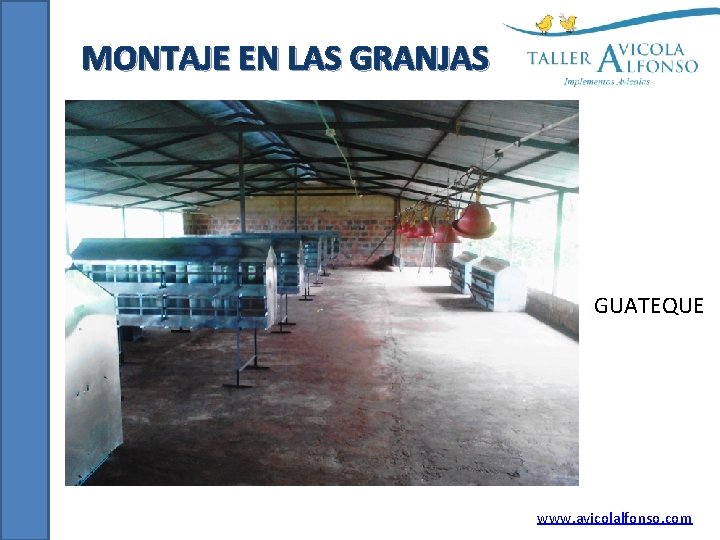 MONTAJE EN LAS GRANJAS GUATEQUE www. avicolalfonso. com 