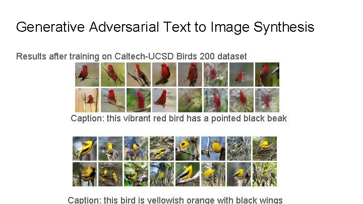 Generative Adversarial Text to Image Synthesis Results after training on Caltech-UCSD Birds 200 dataset