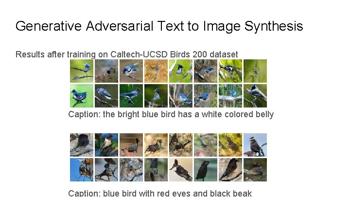 Generative Adversarial Text to Image Synthesis Results after training on Caltech-UCSD Birds 200 dataset
