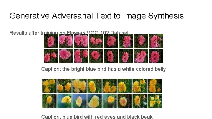 Generative Adversarial Text to Image Synthesis Results after training on Flowers VGG 102 Dataset